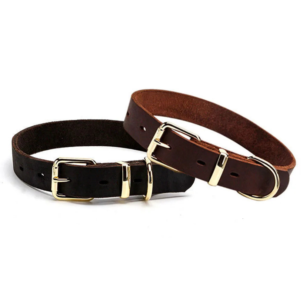 Genuine Real Leather D Ring Dog Collar with Premium Golden Alloy Buckle Adjustable Small Large Dogs Collars 250311