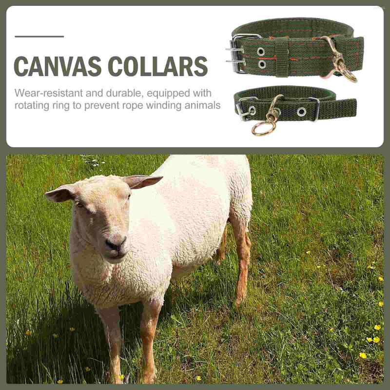 Update Pcs Sheep Collar Collars Adjustable Animal Husbandry Supplies Ox Canvas Livestock Accessories