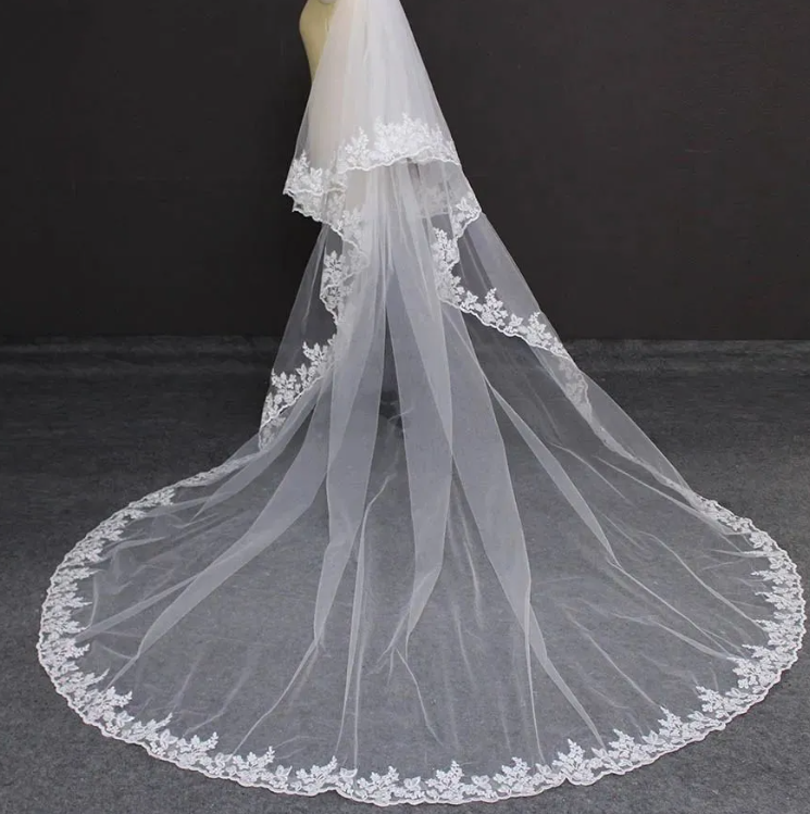 2025 Gorgeous 3M Wedding Veils With Lace Applique Edge Long Cathedral Length Veils One Layer Tulle Custom Made Bridal Veil ZJ433