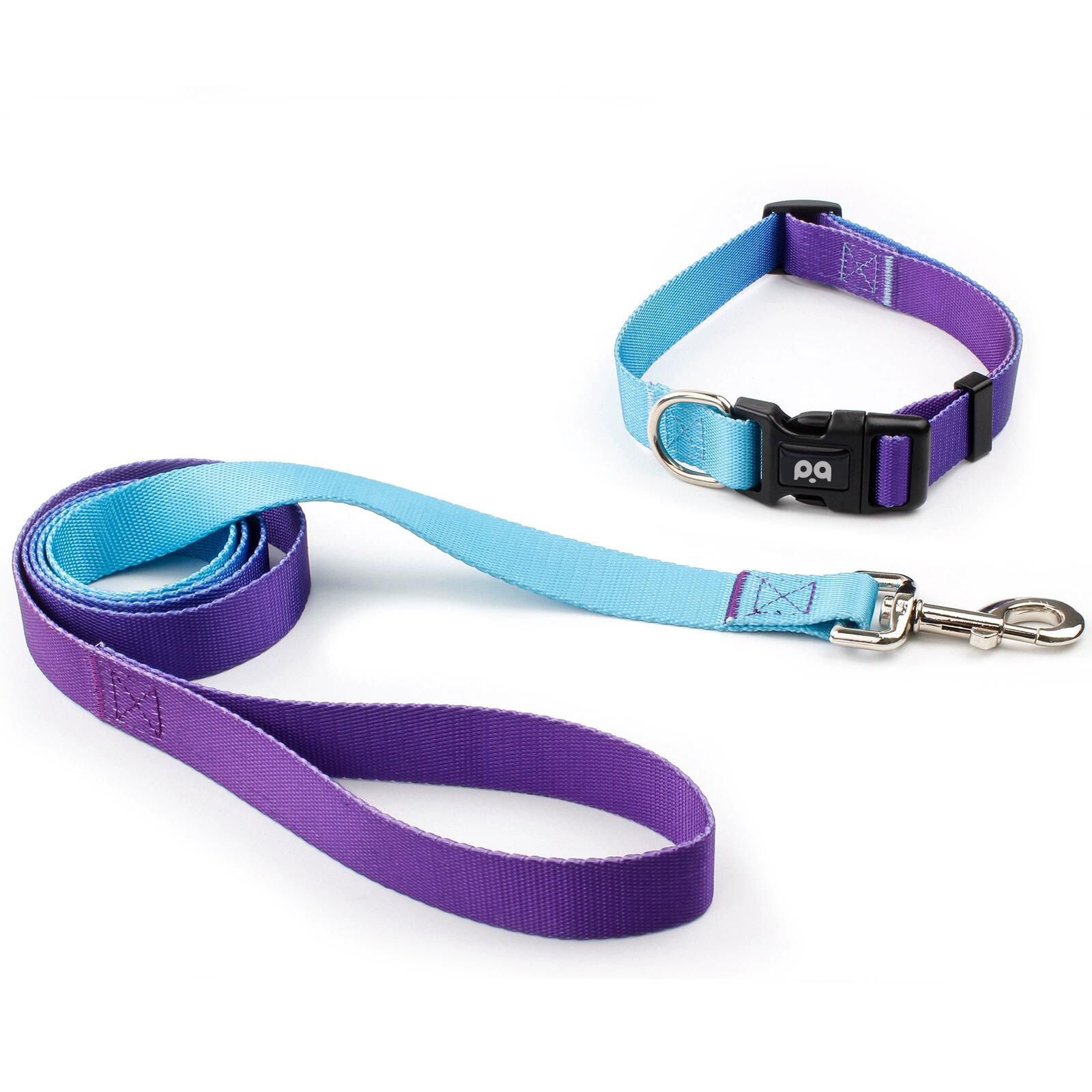 Comfort Fit Pet Gear Bundle | Inclusive Breathable Collar & Robust Tether for Canines