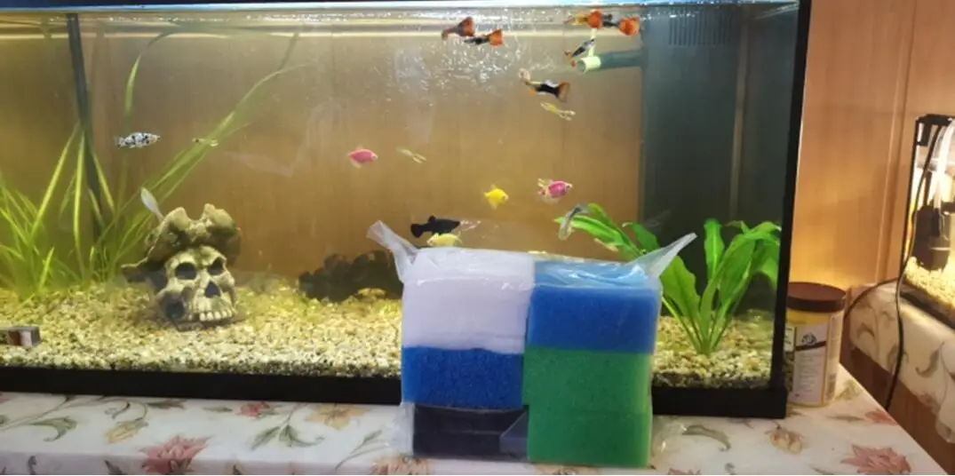 Home SET 42PCS Compatible Aquarium Filter Sponge forJuwelCompact /Bioflow3.0 ( 1xFine,1xCoarse,2xNitrate,2xCarbon,5xpolypads)