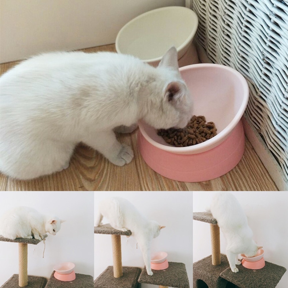 Nicrew 360 Degree Slanted Puppy Dog Cat Pet Food Bowl Cat Dish Dog Bowl Pet Sterile Tableware Pet Feeding Watering Supplies Y200922