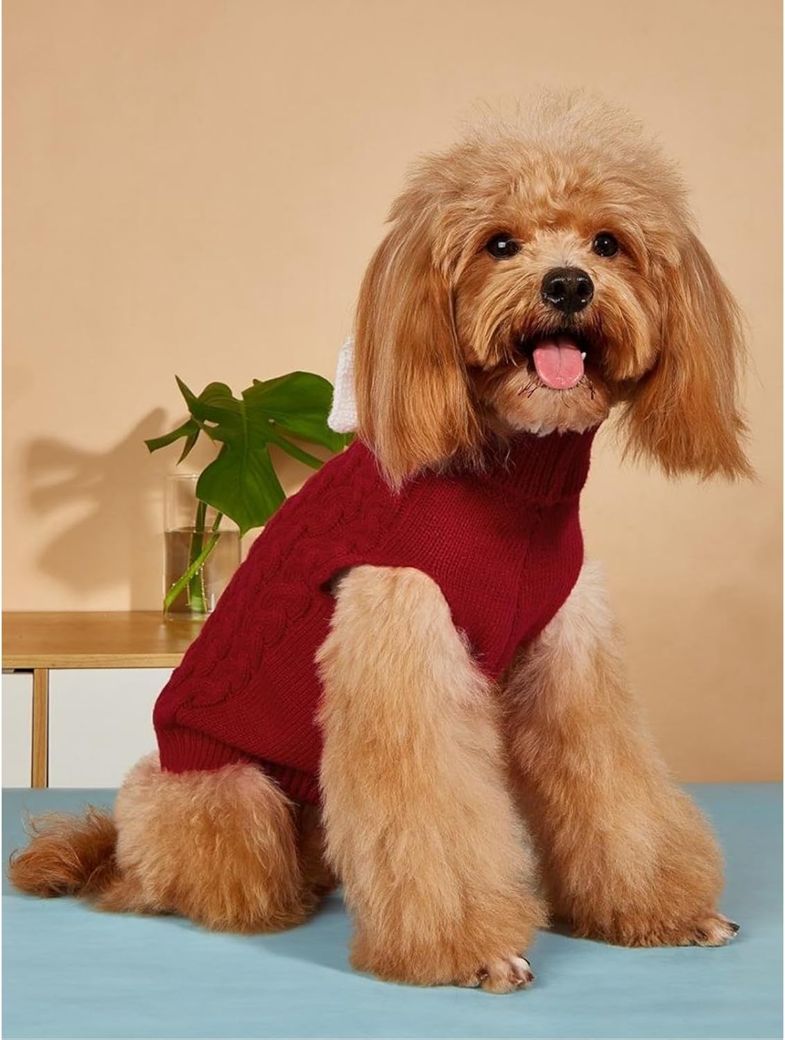 Yanmucy Dog Turtleneck Sweater - Stylish Bow - Knitted, Warm Winter Wear for Small to Large Dogs and Cats (Available in X - Large, Red)