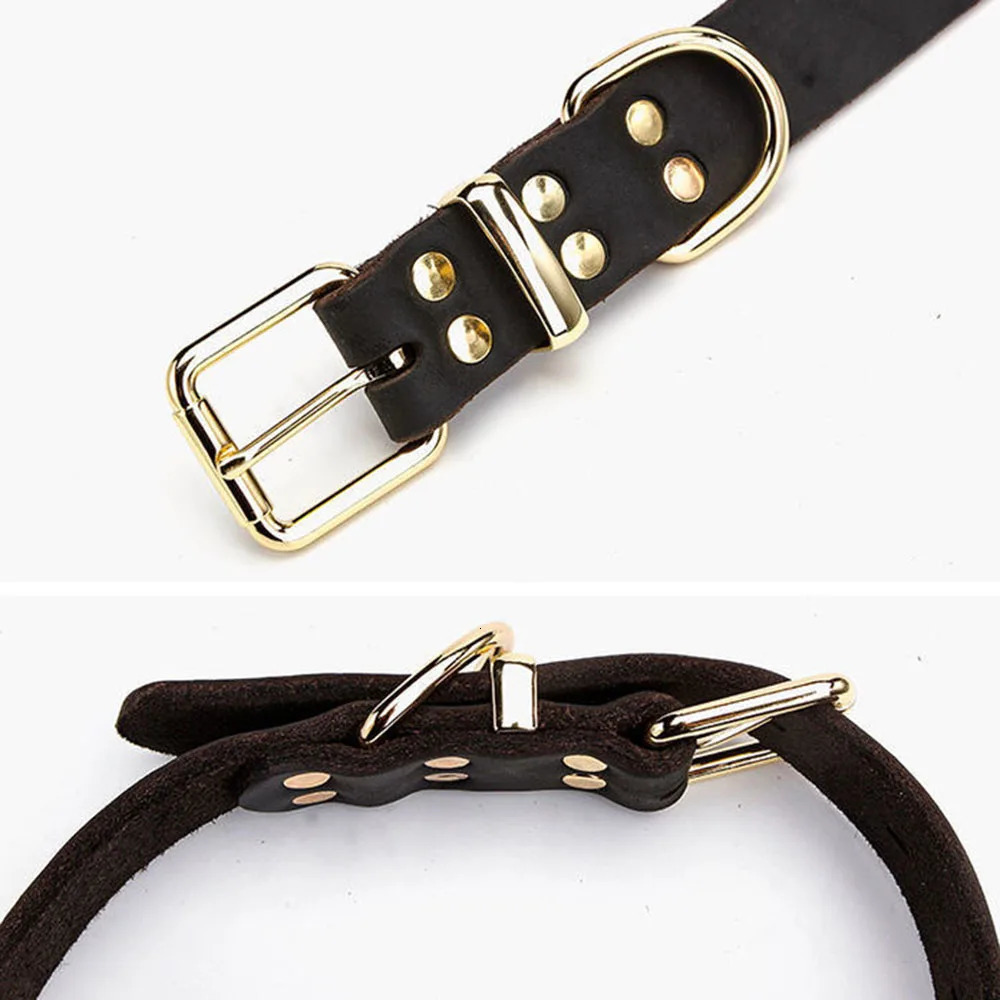 Genuine Real Leather D Ring Dog Collar with Premium Golden Alloy Buckle Adjustable Small Large Dogs Collars 250311