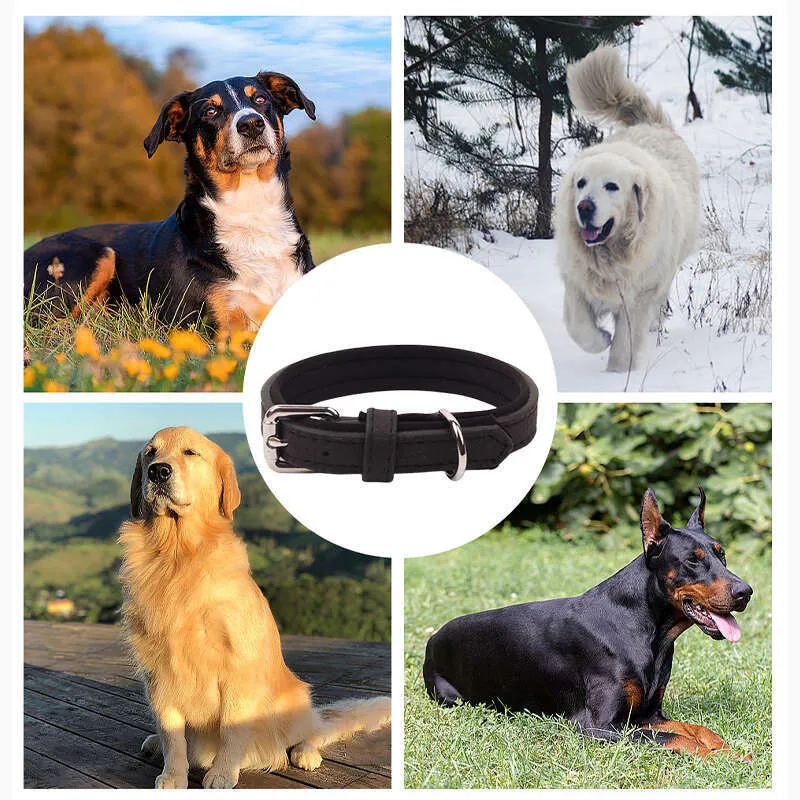 Leather Dog Best Collar Full Grain Heavy Duty Genuine Leather