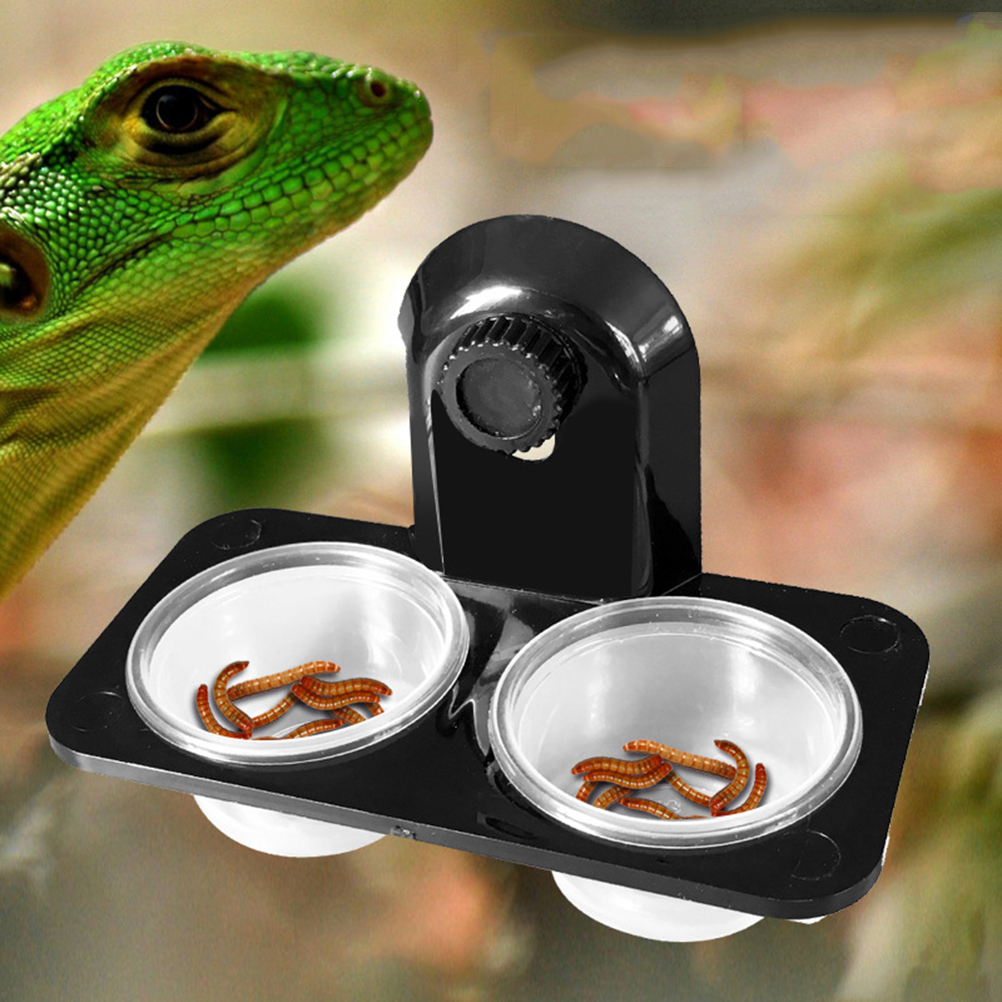 Magnetic Gecko Ledge Pet Supplies Turtle Reptile Terrariums Animal Feeder Food Glass Bowl Spider to
