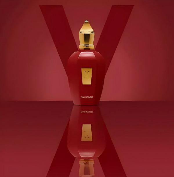Elegant Woody & Musk Scented Wardasina Fragrance for Women, 100ml Bottle