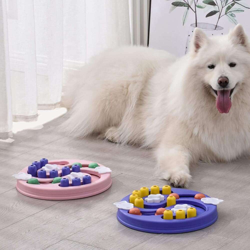 DHpet Pet Slow Feeder Bowls Portable Slip Leakproof Cats/Dogs Multifuctional with Puzzle Plates Dog