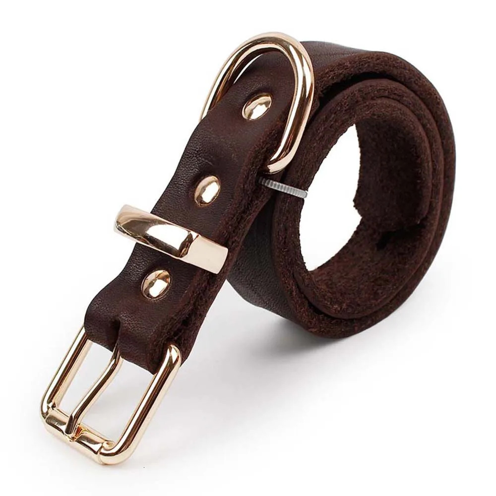 Genuine Real Leather D Ring Dog Collar with Premium Golden Alloy Buckle Adjustable Small Large Dogs Collars 250311
