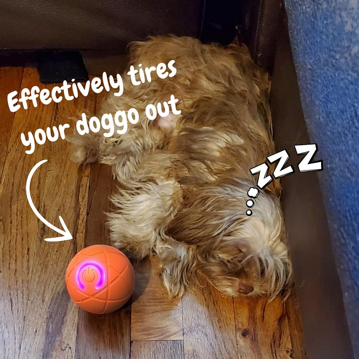 Automatic Moving Bounce Rolling Ball Dog Toy USB Smarts Puppy Interactive Chew Dogs Accessories Pet Toys Home Cats
