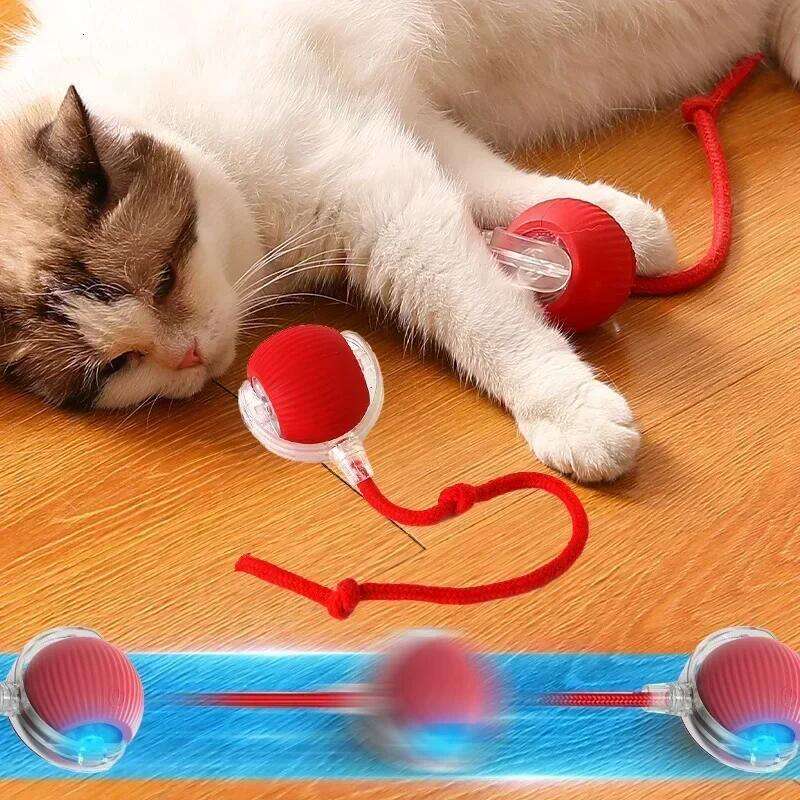 DHpet Smart Cat Toys Automatic Rolling Ball Fake Tail Rechargeable Electric Pet Interactive Toy Dog Cat Training Imitate Mouse Tail
