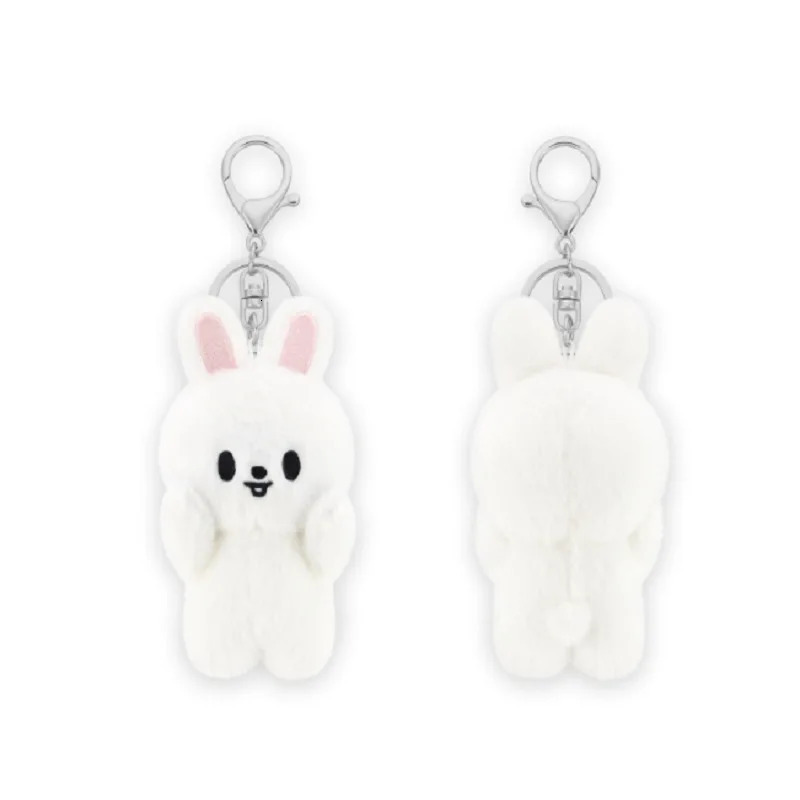 SKZOO 10cm stray children plush toy keychain soft pillow room packaging clothing decoration series model friend childrens gift 250311