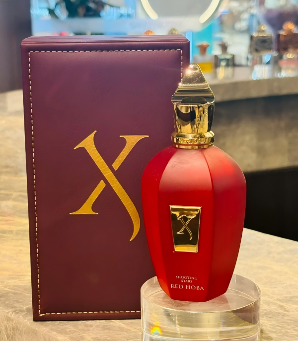 Elegant Woody & Musk Scented Wardasina Fragrance for Women, 100ml Bottle