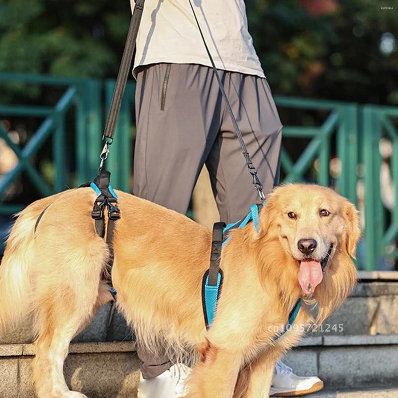 Update Dog Lift Harness Protective Leash Auxiliary Pet Gear Walking Disabled Belt Support Lifter Elderly Sling