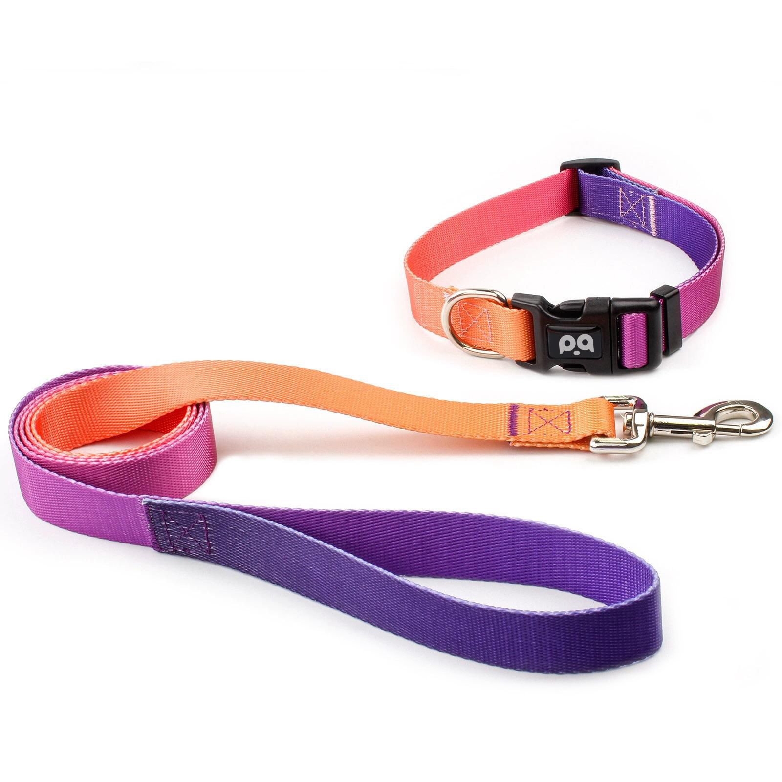 Comfort Fit Pet Gear Bundle | Inclusive Breathable Collar & Robust Tether for Canines