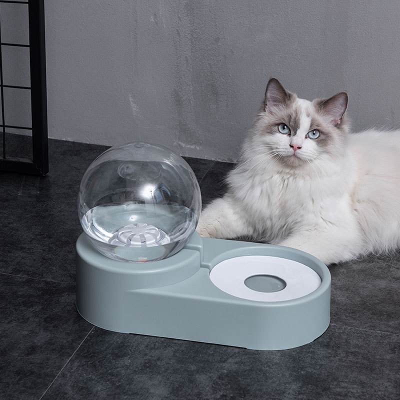 Elevated Dog Feeding Stand Premium Material and Sleek Design for All-Day Comfort