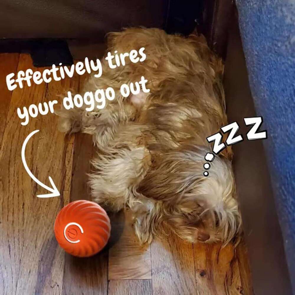DHpet Jumping Toy, Automatic Moving Toy Ball Shaky Active Ball, 360° Smart Electric Dog Toys Balls for Small Medium Large Dogs
