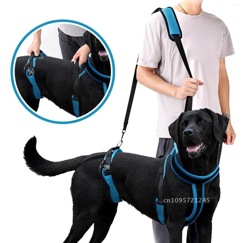 Update Dog Lift Harness Protective Leash Auxiliary Pet Gear Walking Disabled Belt Support Lifter Elderly Sling