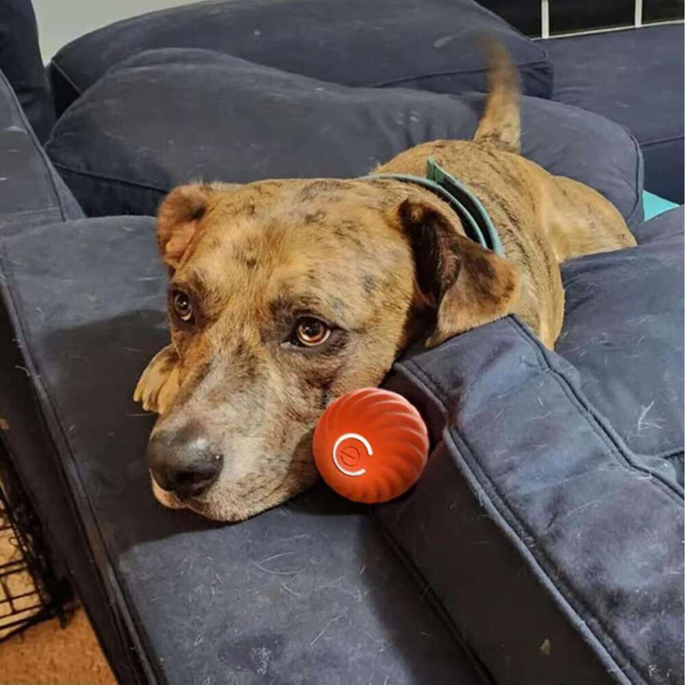 DHpet Jumping Toy, Automatic Moving Toy Ball Shaky Active Ball, 360° Smart Electric Dog Toys Balls for Small Medium Large Dogs
