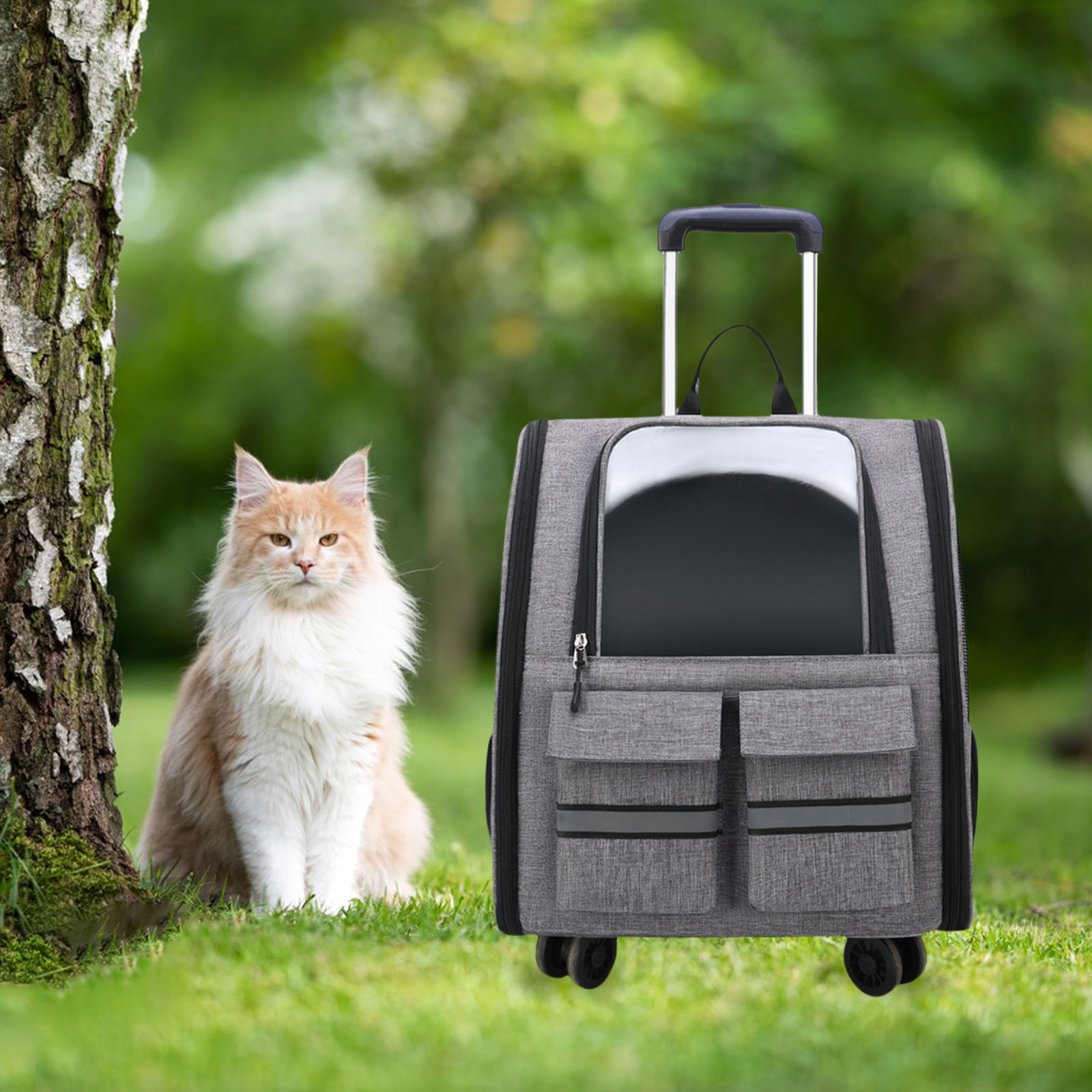 Portable Cat Trolley Case Backpack with Handle Pet Carrier Handbag Carrying Bag for Small Cats Doggy Travel Outdoor Transparent