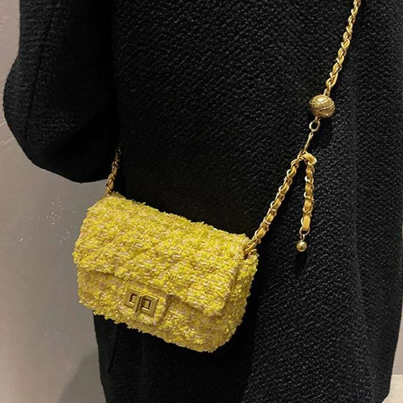 Fashion Designer s Trendy Handbag For Women In 2025 New Chain Mini Bag Multifunctional Crossbody Bag Casual Wallet Popular Storage Bag