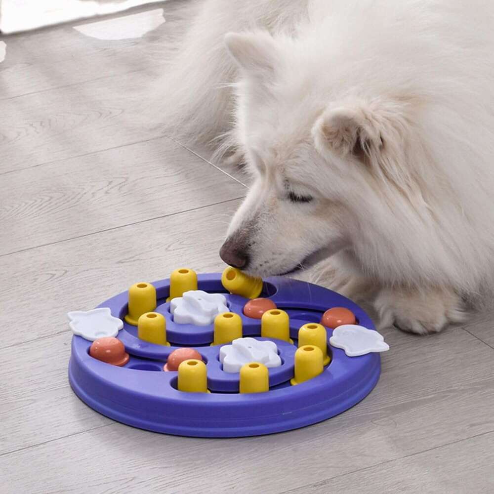 DHpet Pet Slow Feeder Bowls Portable Slip Leakproof Cats/Dogs Multifuctional with Puzzle Plates Dog