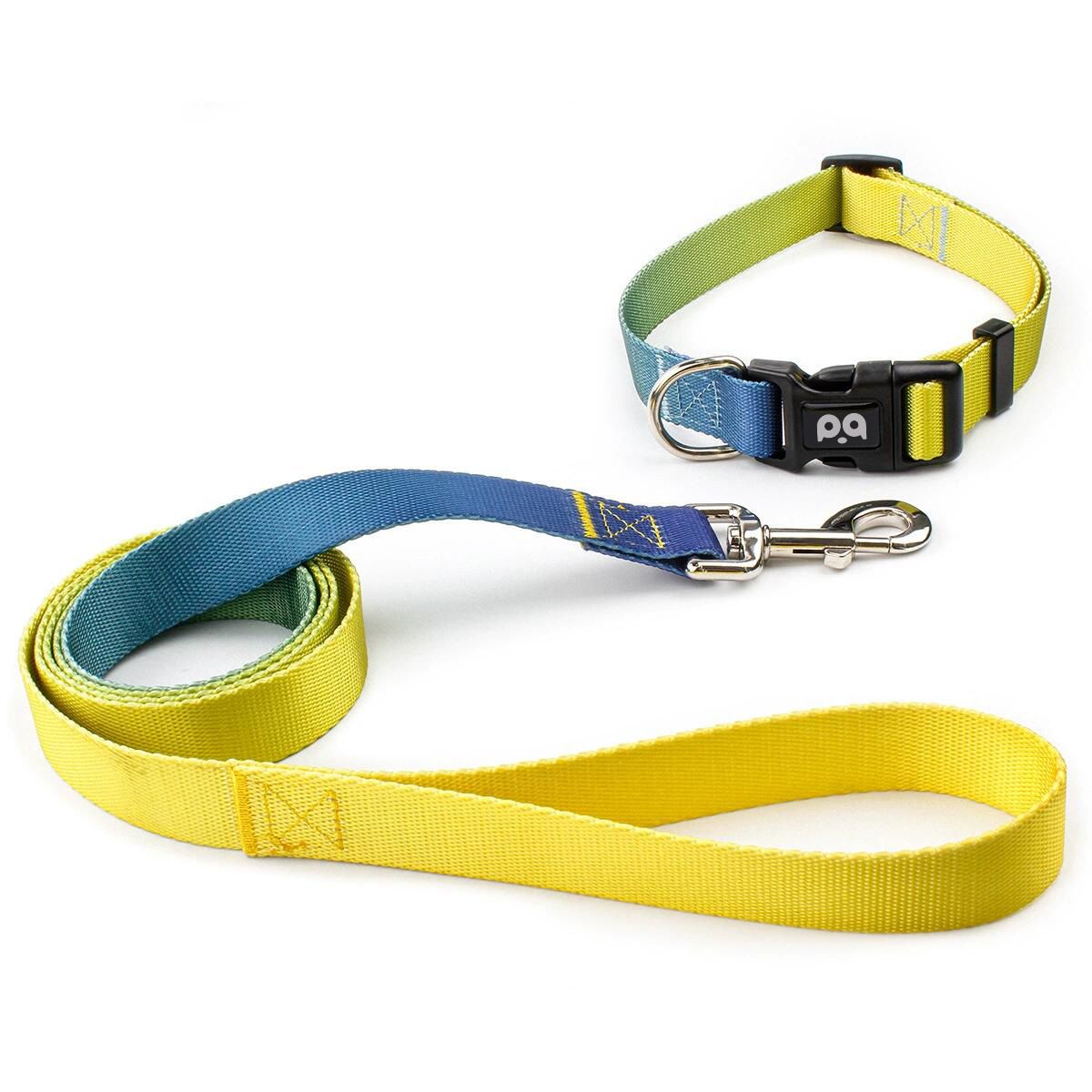 Comfort Fit Pet Gear Bundle | Inclusive Breathable Collar & Robust Tether for Canines