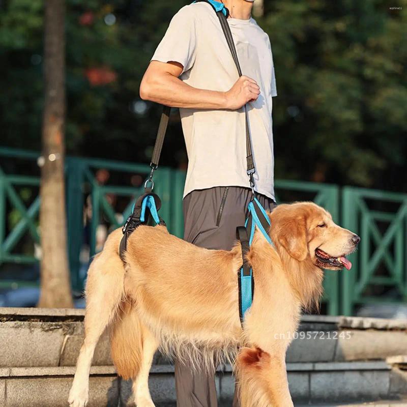 Update Dog Lift Harness Protective Leash Auxiliary Pet Gear Walking Disabled Belt Support Lifter Elderly Sling