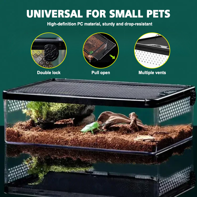 Reptile Feeding Boxs Transparent Amphibian Insect Reptile Breeding Box Ventilated Hatching Container Reptile Terrarium Tanks