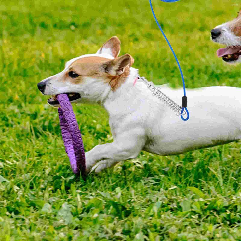 Update Tie Out Cable For Dogs Pet Tieout Tether Training Dog Run Chain With Swivel Hooks Yard Garden Park Camping Outside