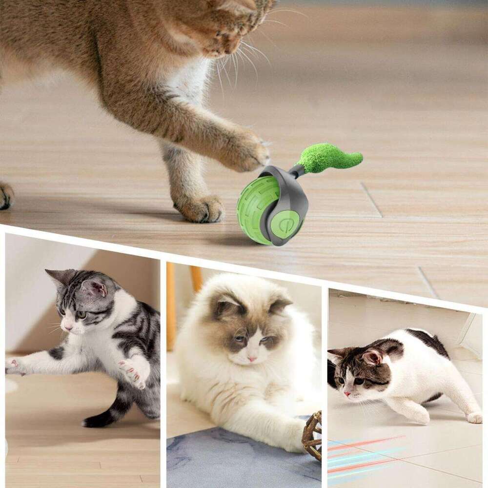 DHpet Speedy Tail 2.0 Interactive Cat Toy: Automatic Moving Smart Ball with Replacement Tail - Ideal for Indoor Cats, Safe & Engaging
