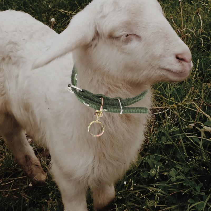 Update Pcs Sheep Collar Collars Adjustable Animal Husbandry Supplies Ox Canvas Livestock Accessories