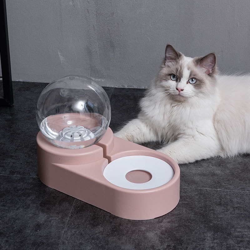 Elevated Dog Feeding Stand Premium Material and Sleek Design for All-Day Comfort