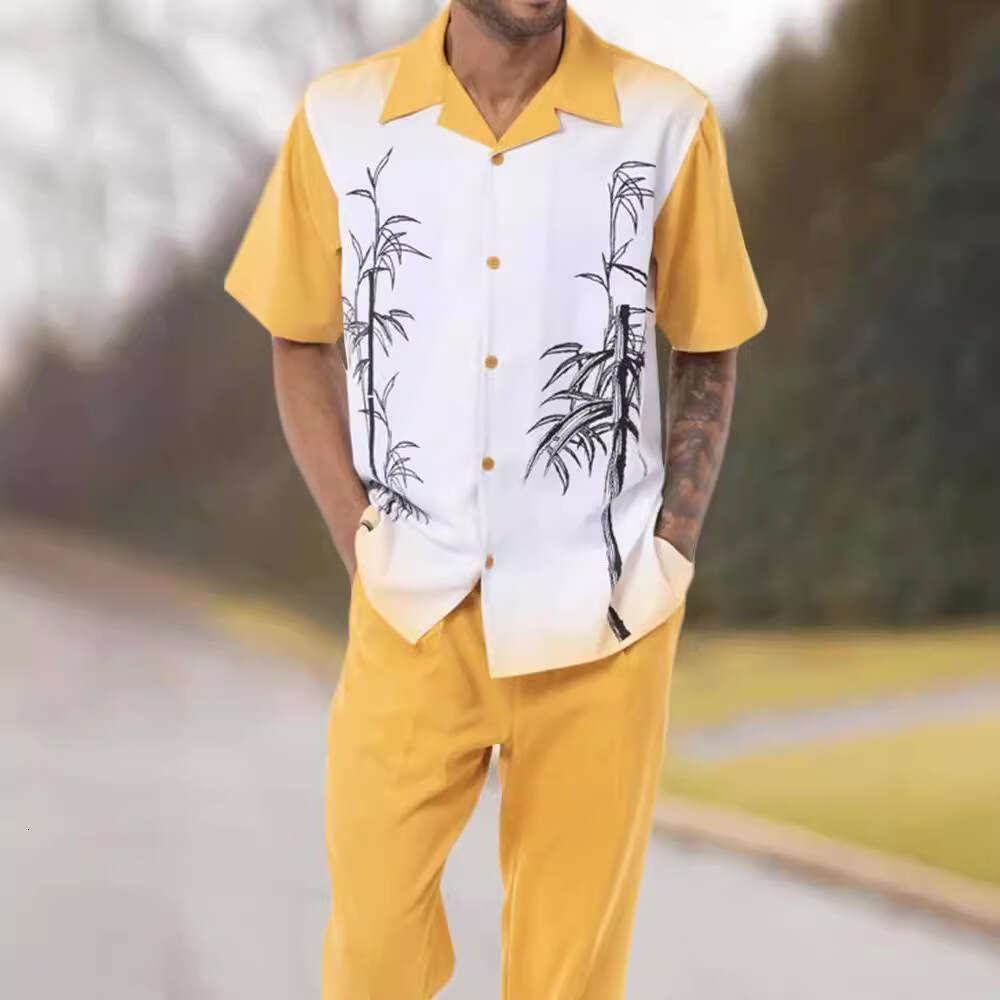 Spring summer casual beach style trendy brand European American 3D printed loose short sleeved shirt long pants set, men's new style, chic and el