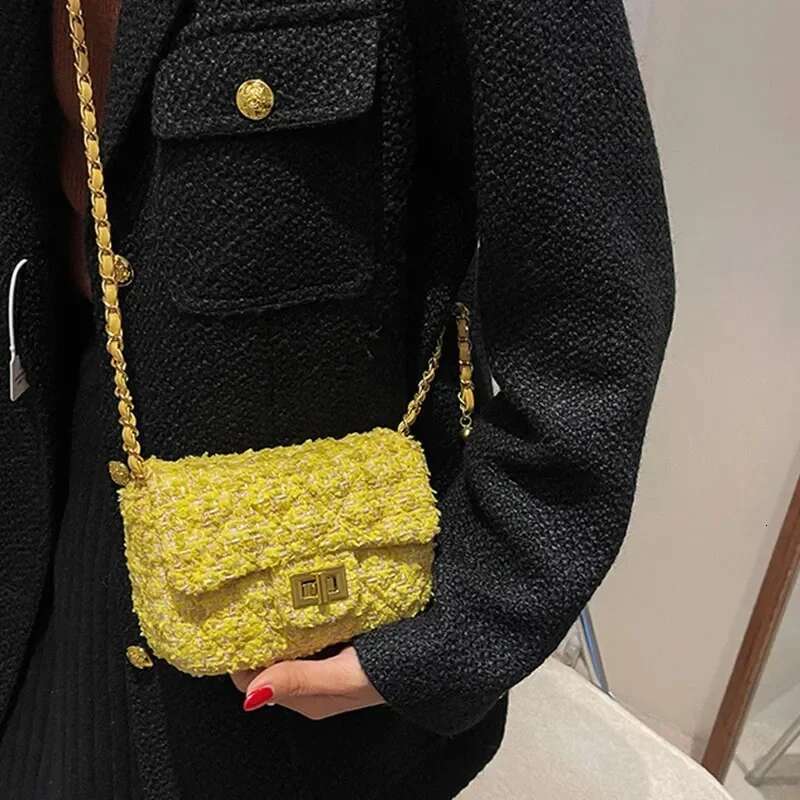 Fashion Designer s Trendy Handbag For Women In 2025 New Chain Mini Bag Multifunctional Crossbody Bag Casual Wallet Popular Storage Bag