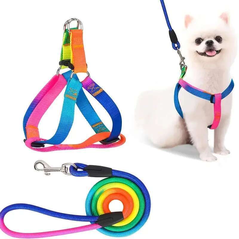 Colorful No-Pull Pet Harness Leash Set Small Medium Dogs Cats - Perfect For Outdoor Walking And Training