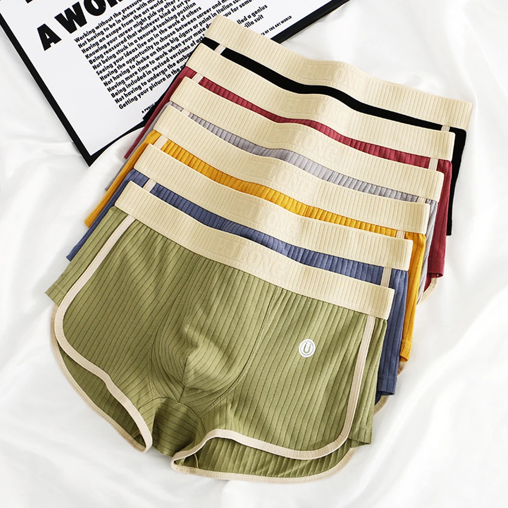 60-90KG6PCS Mens Underwear Boxer BriefsCottonBreathable Comfortable Solid Stripe Man Short Plus SizeMultiple color 250311