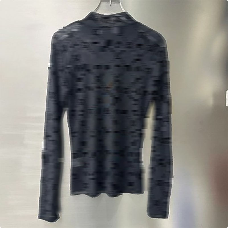 Women's T Shirts Gotoola 2025 High Version Spot Small Mesh Top Overclothes Moon Long Sleeve Bottoming Shirt Lace Sexy Girl Style
