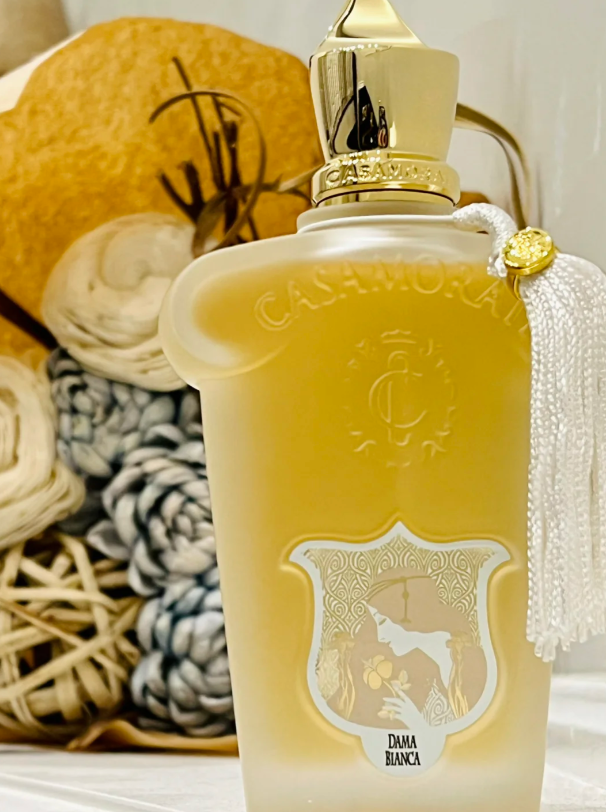 Premium Woody Floral perfume with Long Lasting Scent for Men & Women - 100ml