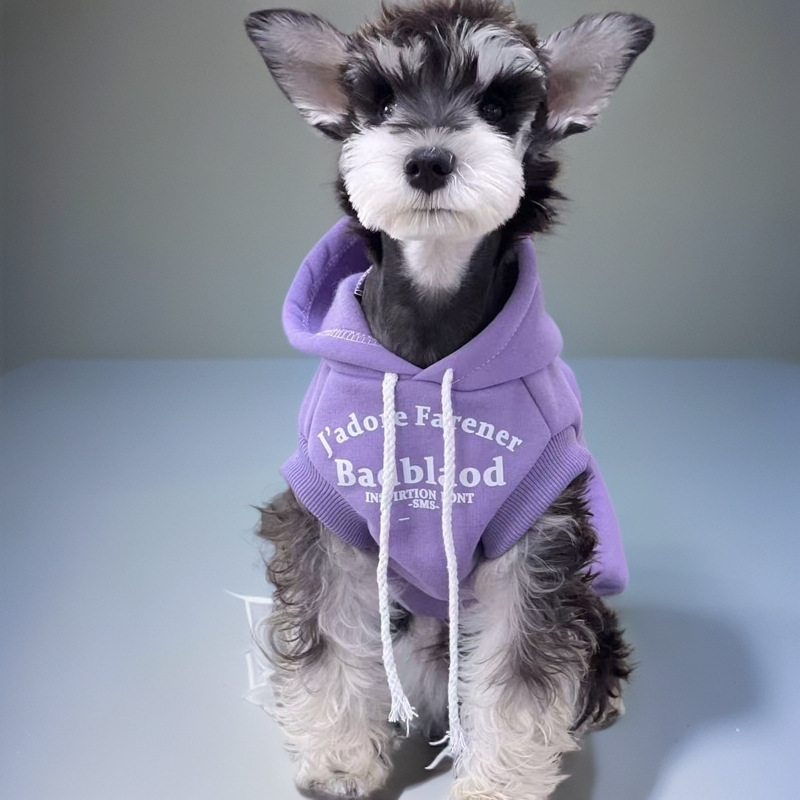 Small Dog Comfortable Designer Knit Sweater for Cold Weather Protection