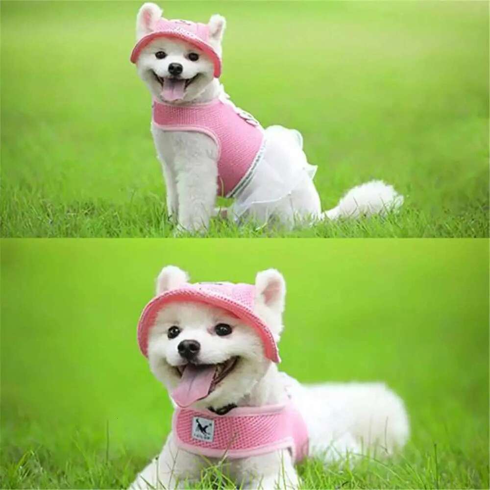 3 Patterns Breathable Pet Dog With Ears Holes Spring Summer Baseball Beach Visor Mesh Canvas Hat Puppy Outdoor Cap 1Pc