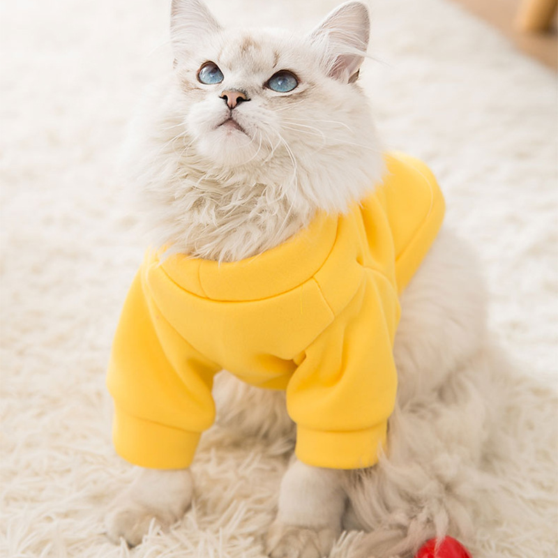 Chic Thin Velvet Hooded Outfit for Furry Friends - Seasonal Warmth with Stylish Appeal for Your Canine Companion