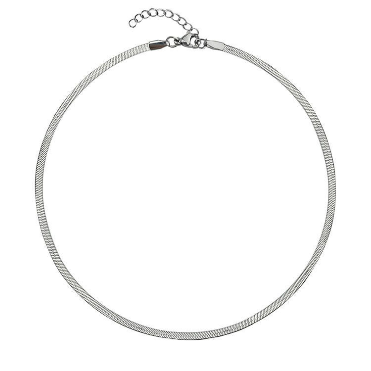 316L Stainless Steel Snake Chain Necklace for Men Women Unique Design Flat Necklace Titanium Steel Link Chain Necklace Fashion Punk Choker Necklaces J