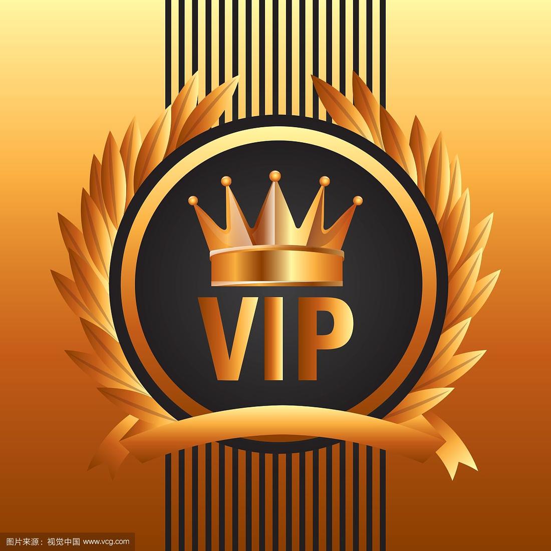 VIP: Pay and Enjoy Priority Service : VIP Payment Link for Unrivaled Experiences!Exclusive VIP Link for You!