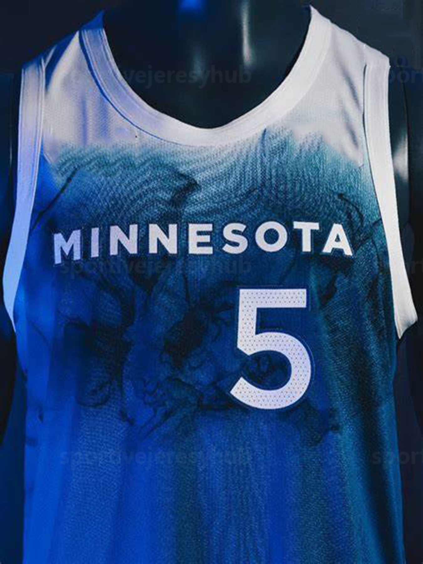 2025 Anthony Edwards Gobert Clark Custom Basketball Jersey Stitched Personalized Naz Reid DiVincenzo Hyland McDaniels Miller Reid Custom Any Number An