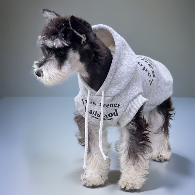 Small Dog Comfortable Designer Knit Sweater for Cold Weather Protection
