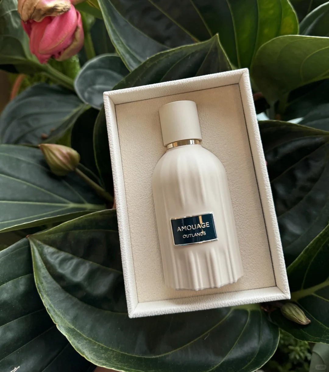 Amouage Outlands Reasons Guidance Jubilation 40 Woman Perfume 100ml Eau De Parfum Long Lasting Smell Fragrance Brand Man Women Cologne Spray
