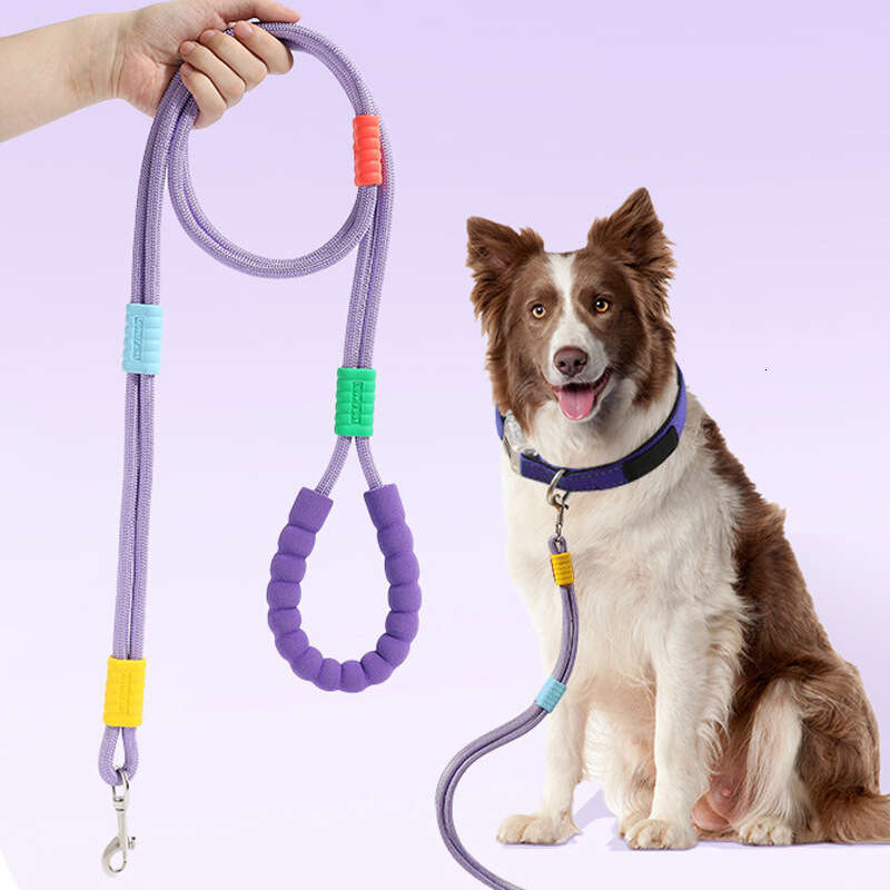 DHpet Multipurpose Dog Leash - Soft Grip, Stainless Steel Buckle, 150cm Sports Nylon Rope