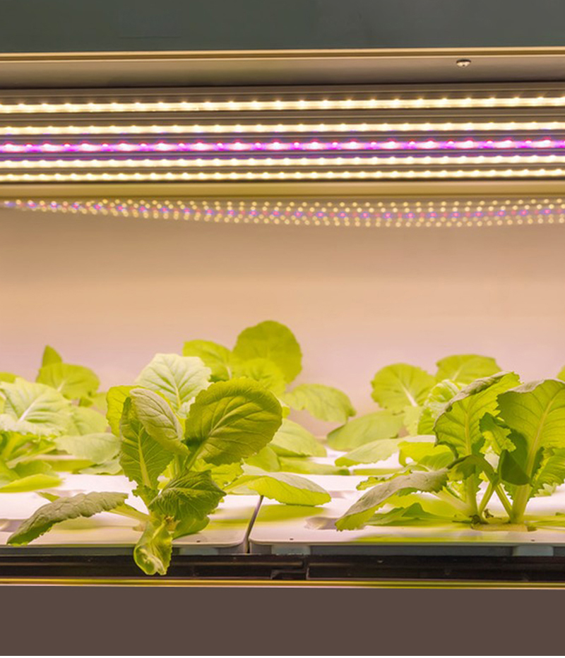 Efficient Full Spectrum LED Grow cabinet Tubes - Remote Controlled Lighting Solution for Optimal Plant Cultivation
