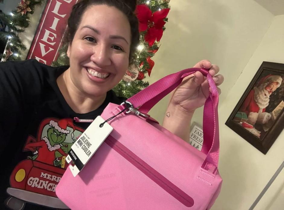 In Hand All Day Julienne Mini Soft Cooler Lunch Bag Box Recycled Polyester Cooler 12-Hour Cooling Travel Cooler Bags Light Pink Black Fuchsia